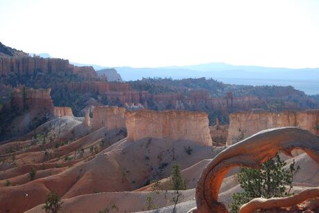 Bryce Canyon in the morning