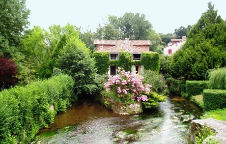 watermolen