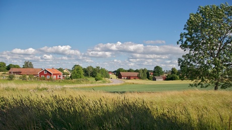 boeren in Zweden