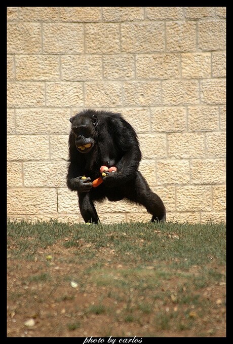 snoep verstandig eet een ..