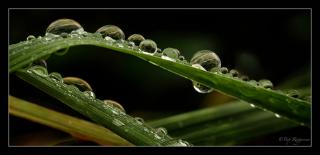 after a rainy day