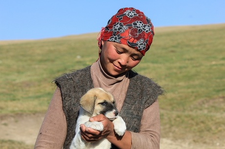 Meisje met puppy