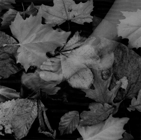 Dubbel bladeren voet