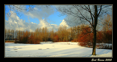 Haarlemmermeerse bos