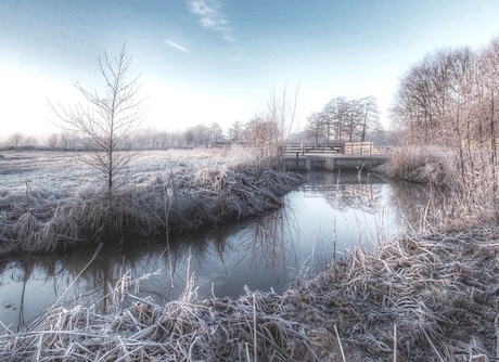 Een witte wereld