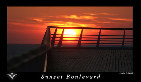 Sunset boulevard