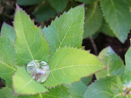 Appeltje voor de dorst?