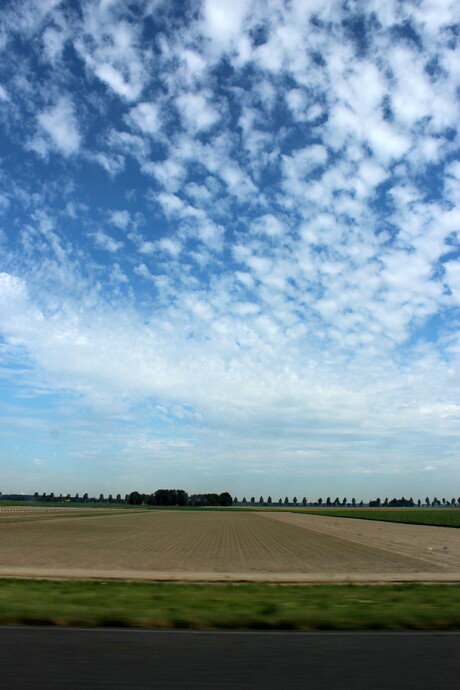 Hollands landschap