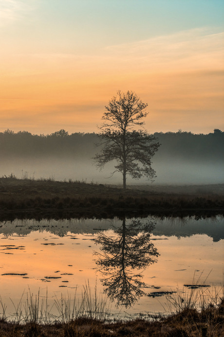 Weerspiegeling