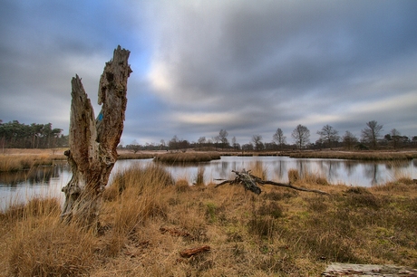 Hatertse vennen