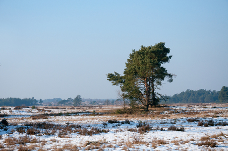 Radio Kootwijk