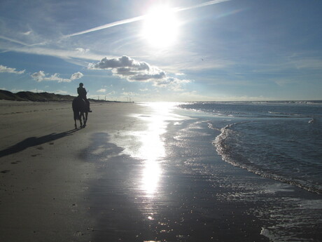 Paarden meisje op het strand.