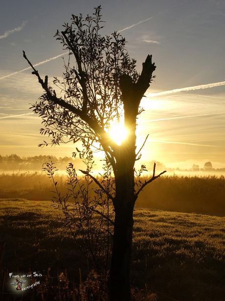 Natuur in Overijssel wanneperveen