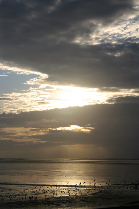 Waddenzee bij avondlicht