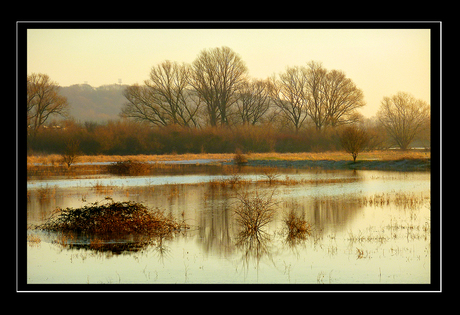 Polder met ochtendlicht