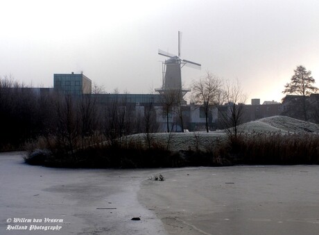 Winterfoto van 8 Januari 2005 in Schiedam