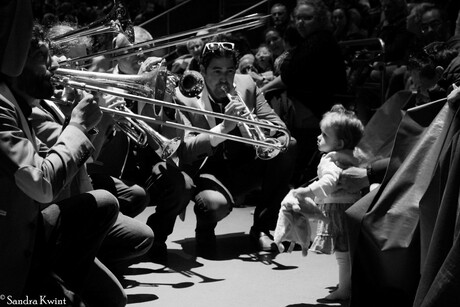 Een kleine serenade - Dreamnight at the Zoo, Dolfinarium