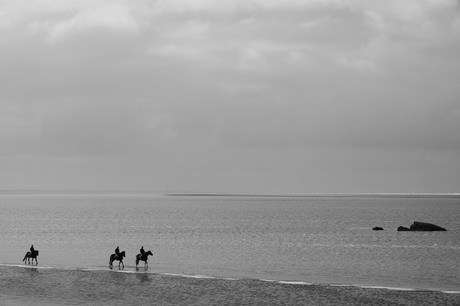 Paardrijden langs de vloedlijn