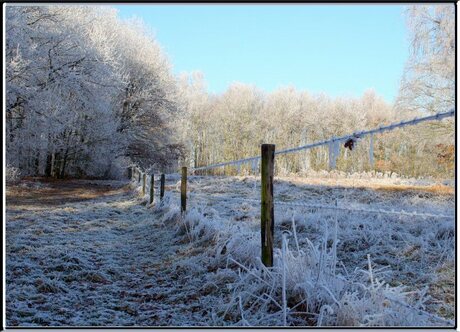 Geen sneeuw, toch winter