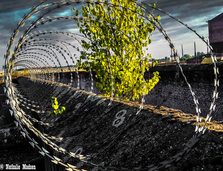 Urbex - Prison H15