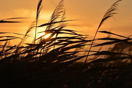 Zonsondergang Terherne