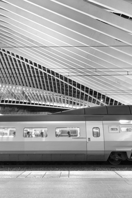 Guillemins5.jpg