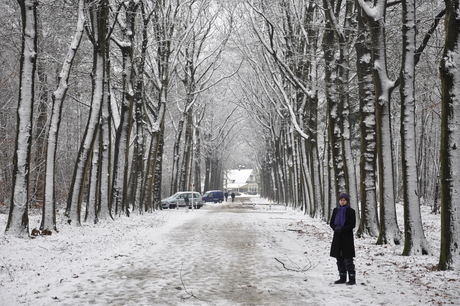 Winter in Mastbos Breda