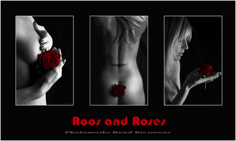 Roos And Roses
