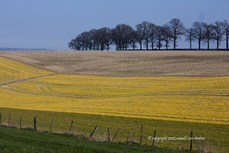 De heuvels rond Gulpen