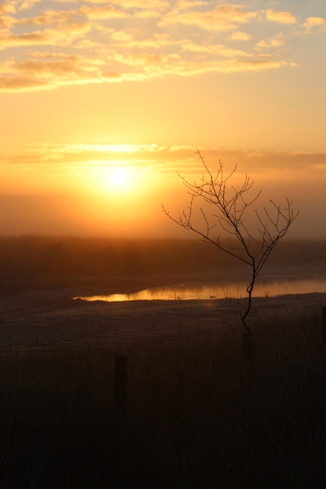 2015-09-26 Regte Heide 060