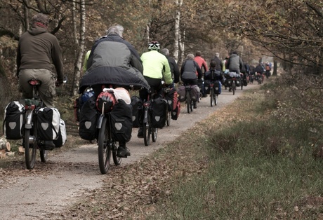 Individuen in een groep