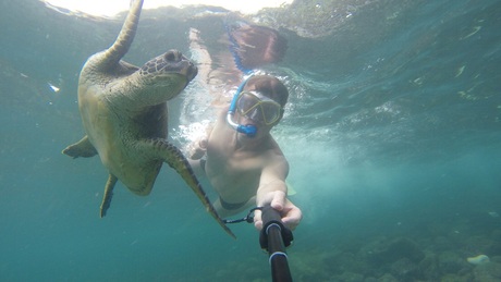 Selfie met schildpad