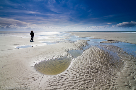 Tegenlicht op het wad