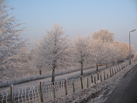 winter 2009 008.JPG