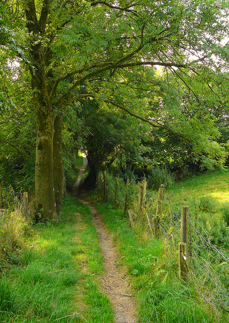 Paadje Zuid Limburg