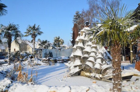 Sneeuw en ijs en palmbomen