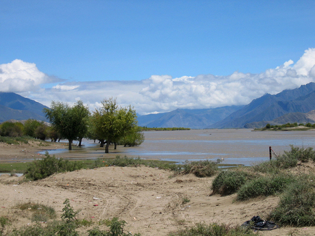 Er zijn bomen in Tibet