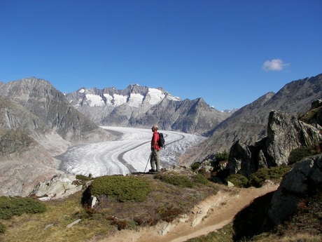 Aletsch