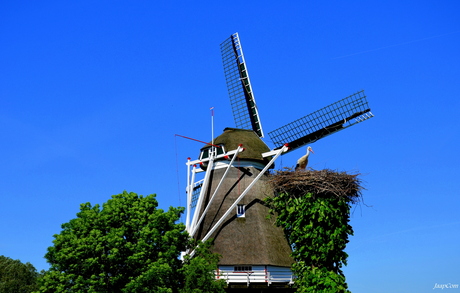 Molen Ooievaarsnest