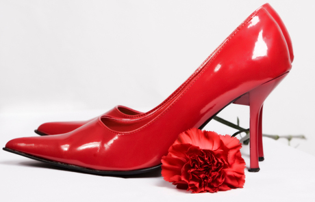 Shoes and Carnation