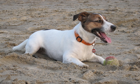 Op het strand