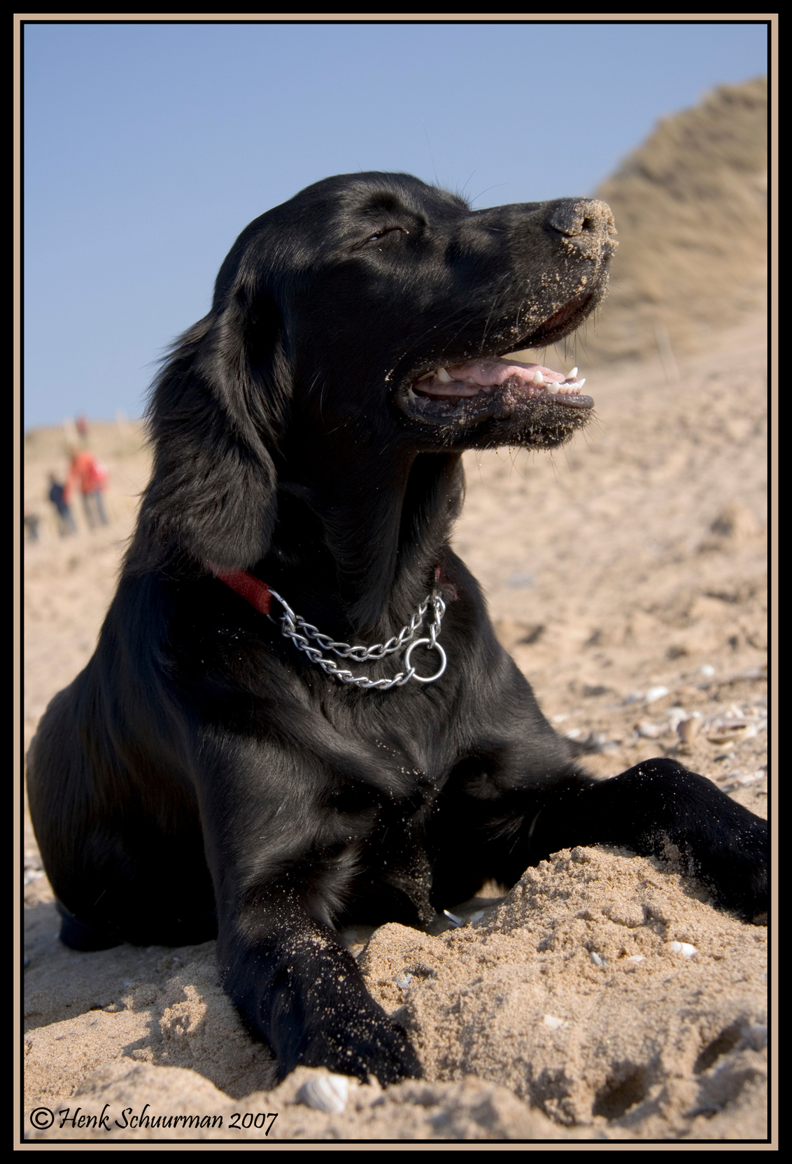 ah Eindelijk Lente Foto Van Henkschuurman Zoom Nl