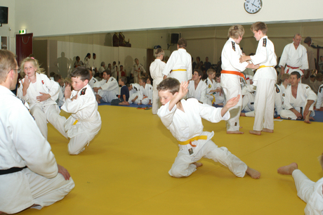 judo