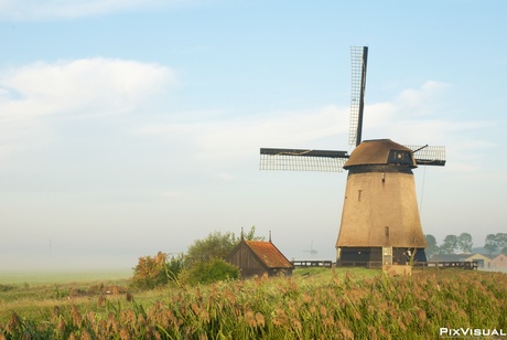 Molen