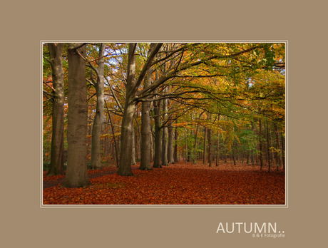 Autumn..