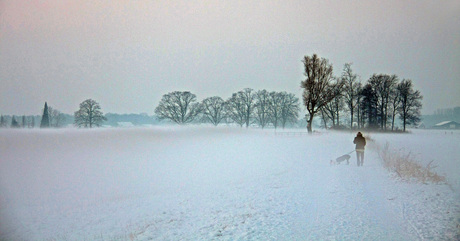wandeling in winters landschap