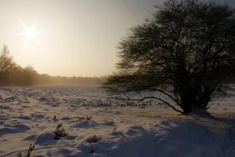 Winter wonderland in Warnsborn