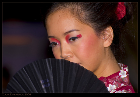 Geisha nr zoveel...