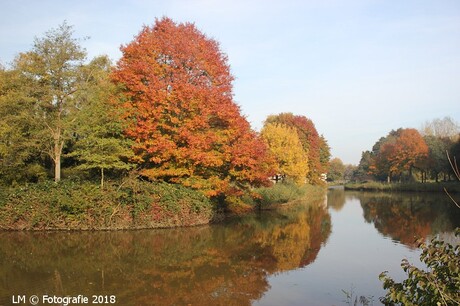 04-11-2018 Rondje schollebos.