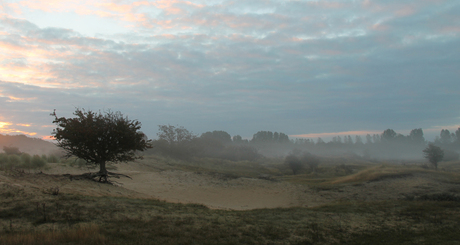 Zonsopkomst in de duinen.jpg